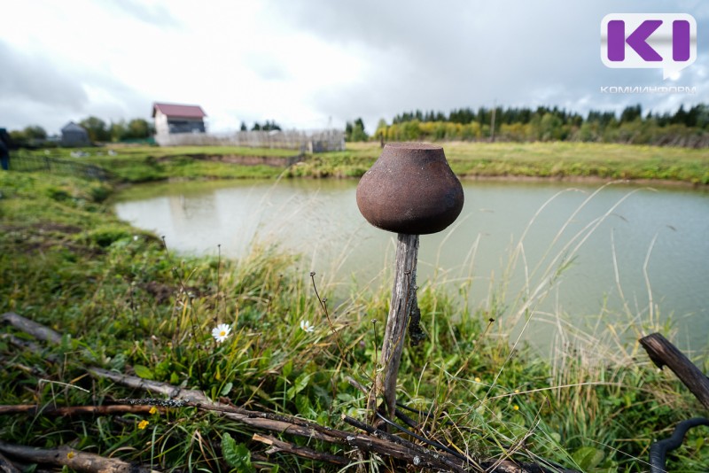 В Княжпогостском районе руководитель сельхозкооператива обвиняется в невыплате зарплаты работникам

