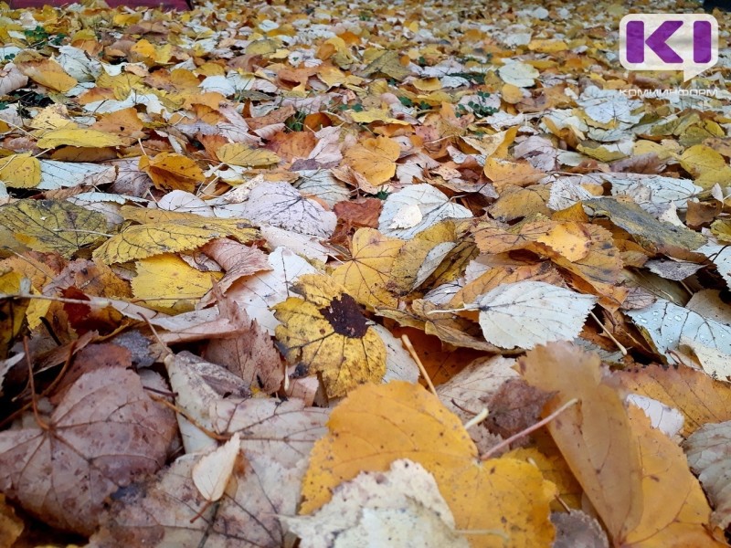 Погода в Коми 1 ноября: небольшие осадки, местами туман