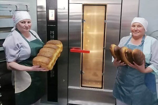 Хлеб наш насущный: в Коми народные проекты помогают развивать сельское хозяйство