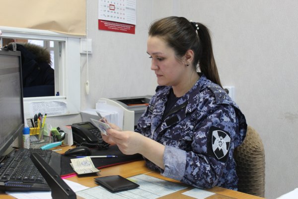 В Коми за неделю Росгвардия изъяла 65 ружей