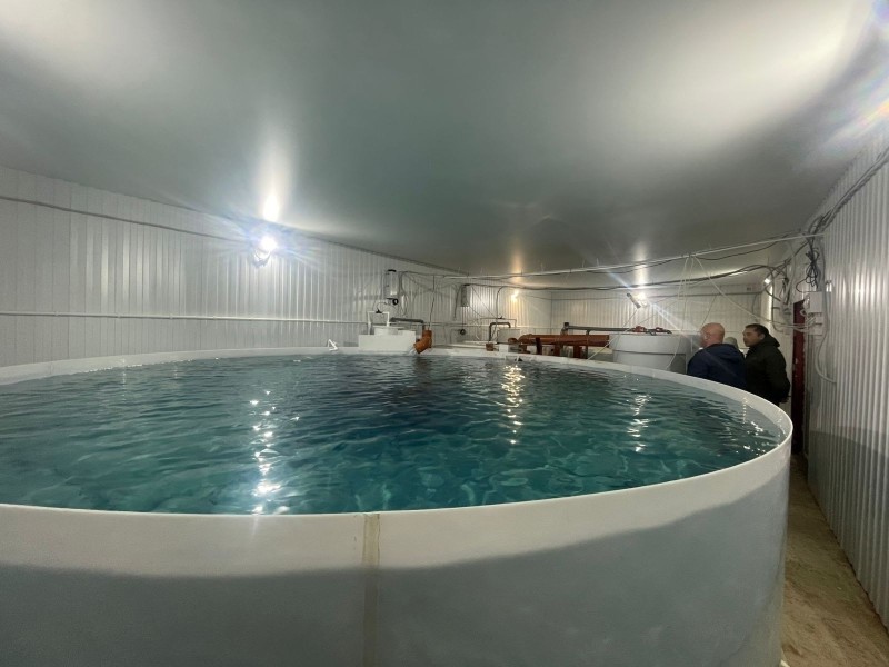 В Усть-Куломском районе оценили проект по выращиванию радужной форели