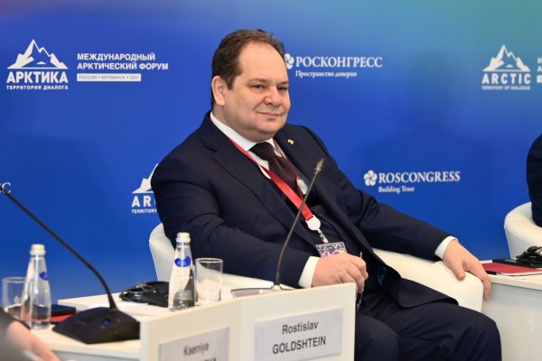 Год с Гольдштейном: что сделано в экономике и финансах