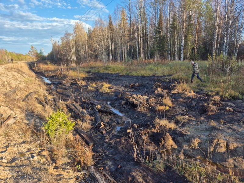 Минприроды Коми выявило серьезные недостатки в работе некоторых нефтяных компаний