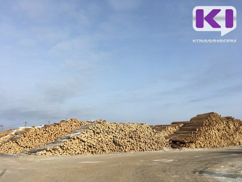 С начала года Управление Россельхознадзора проверило более 1,3 млн кубометров экспортной лесопродукции из Коми