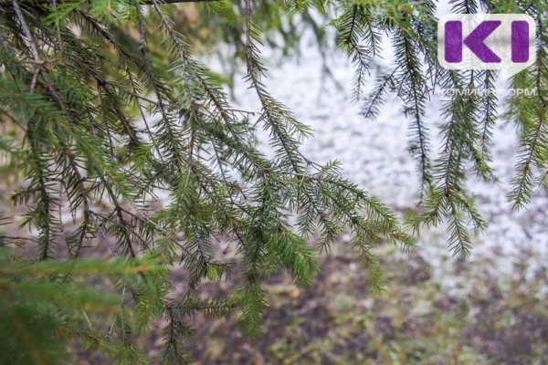 November in Komi will be warmer than usual