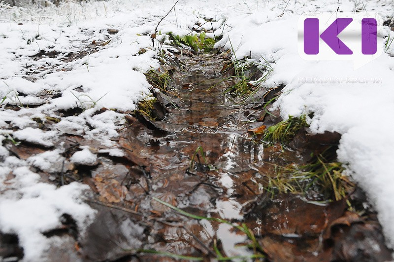 Погода в Коми 7 ноября: дождь, мокрый снег