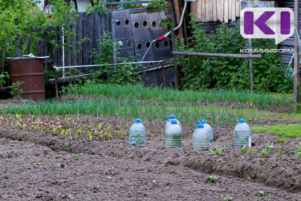Все об СВО: как участнику спецоперации получить в собственность земельный участок бесплатно