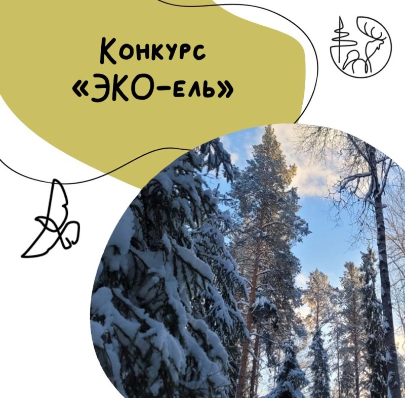 В нацпарке "Койгородский" стартует региональный конкурс поделок "ЭКО-ель"