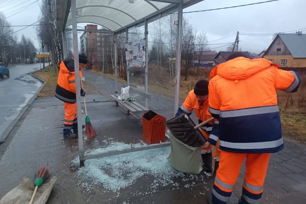 В Сыктывкаре неизвестные разбили остановку 