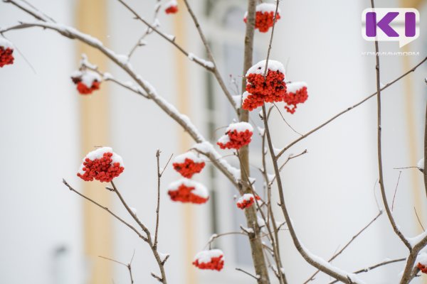 Погода в Коми 11 ноября: на севере похолодает до -19°С