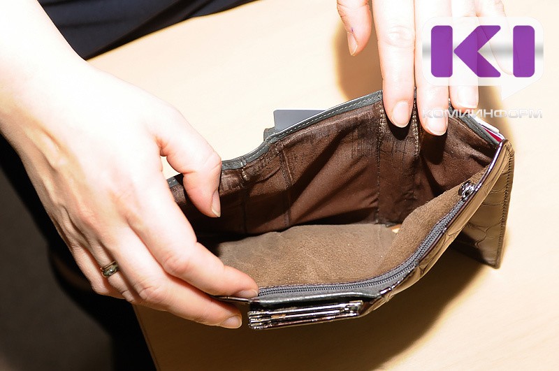 В Княжпогостском районе в суд направлено уголовное дело о невыплате зарплаты 28 работникам сельхозпредприятия

