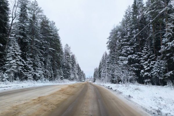 Вырубленный лес при ремонте дороги на дырносские дачи отправится на нужды сыктывкарских дорожников