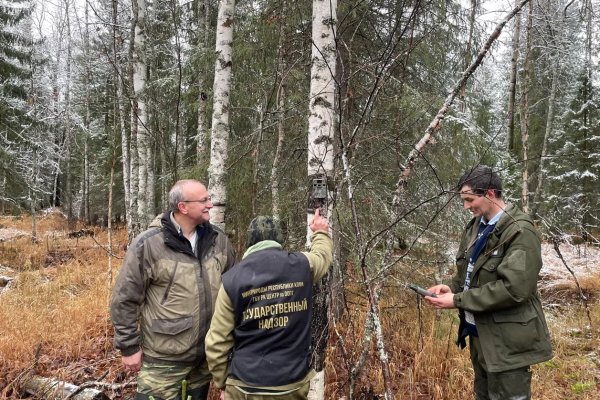 В заказнике 