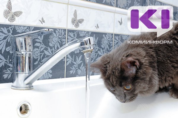 В Заполярном восстановили работу скважин 