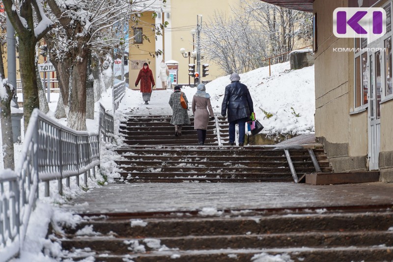 Погода в Коми 15 ноября: мокрый снег, -2°С