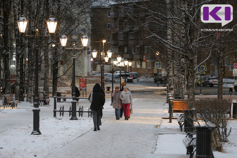 Погода в Коми 17 ноября: умеренный снег и сильный ветер
