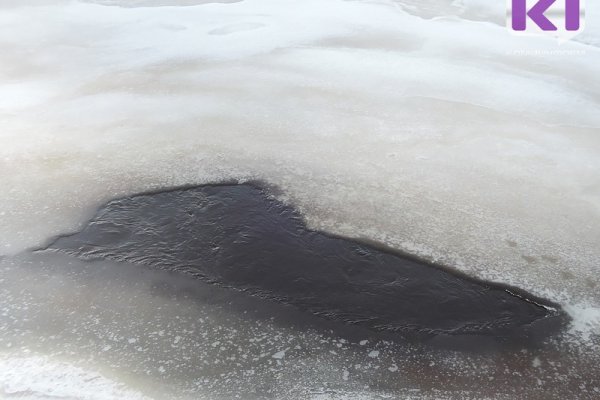 В Усть-Цилемском районе спустя четыре года нашли тело мужчины, который уехал на снегоходе и не вернулся