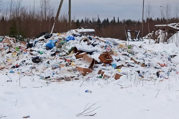 Прокуратура Коми направила материалы с горящей свалки ТКО в Роспотребнадзор и органы полиции
