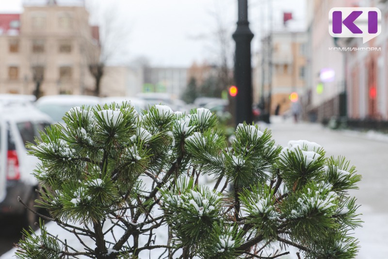 Погода в Коми 21 ноября: в южных районах 0...-5°С, на севере -6...-11°С