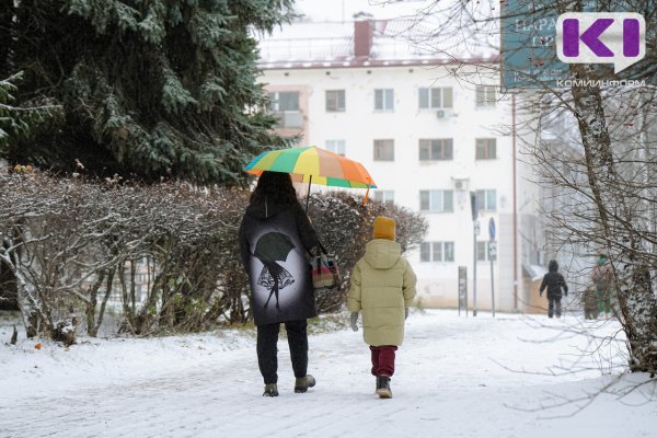 Крепкие морозы на крайнем северо-востоке, оттепель на юге - погода в Коми на предстоящей неделе