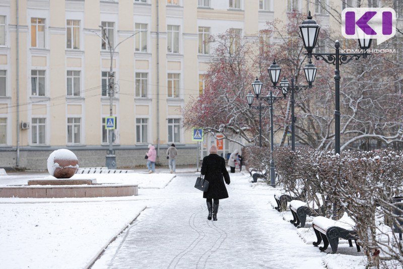 Погода в Коми на 23 ноября: небольшой снег, -6°С