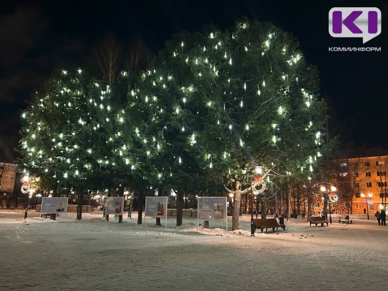 Кедры на аллее у Стефановской площади в Сыктывкаре "одели" в праздничную иллюминацию