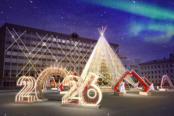 В Сыктывкар везут главную новогоднюю ель республики 