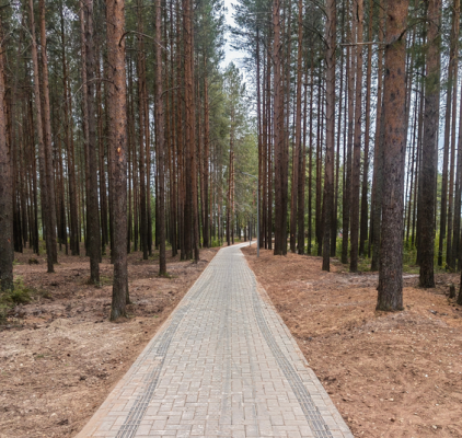 В Ухте завершены работы по благоустройству 12 дворовых территорий