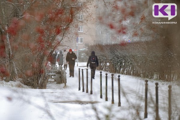 Погода в Коми 27 ноября: на севере -29°С, на юге - 7°С