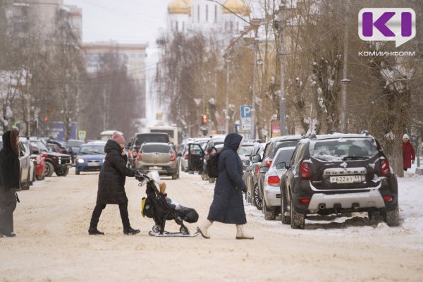 Гибкий график и удаленка сегодня нужны работающим матерям Сыктывкара больше матпомощи

