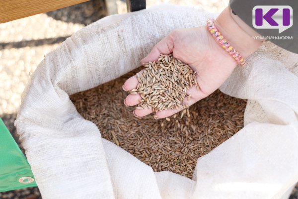 В Коми при мониторинге ФГИС 