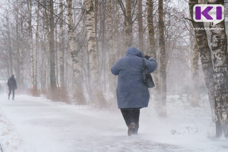 На север Коми надвигается штормовой ветер 