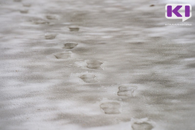 Погода в Коми 1 декабря: мокрый снег, дождь, +1°С