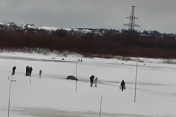 В Ижме под лед провалилась машина 