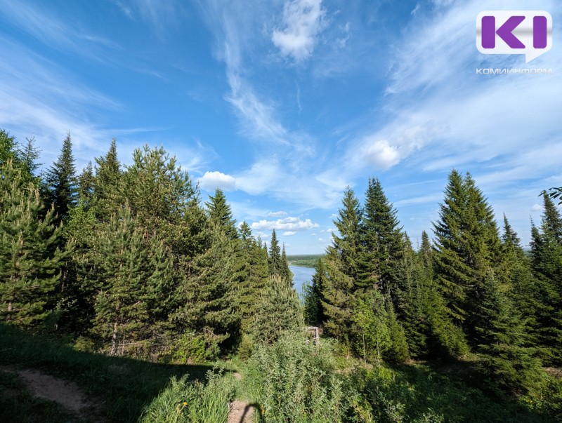 Кабмин до 2030 года направит около 70 млрд рублей на сохранение лесов