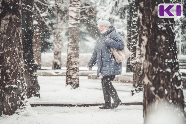 Декабрь в Коми будет снежным и теплым
