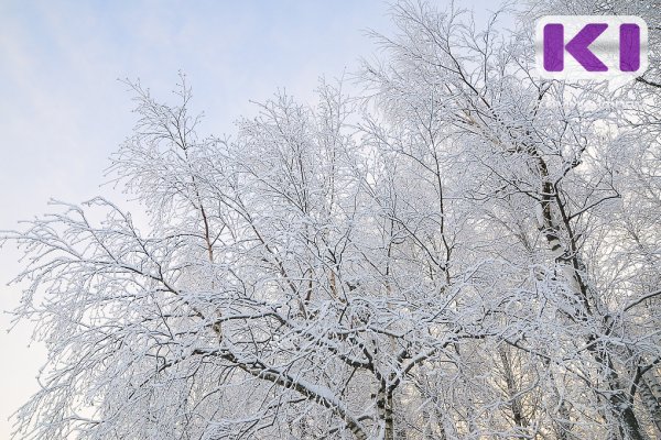 Погода в Коми 7 декабря: местами мороз до -38°С