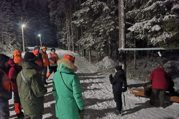 18 заявок, 11 найденных: поисковый отряд 