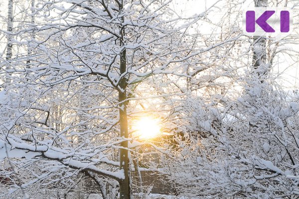 Погода в Коми 8 декабря: в южных районах ударят морозы
 