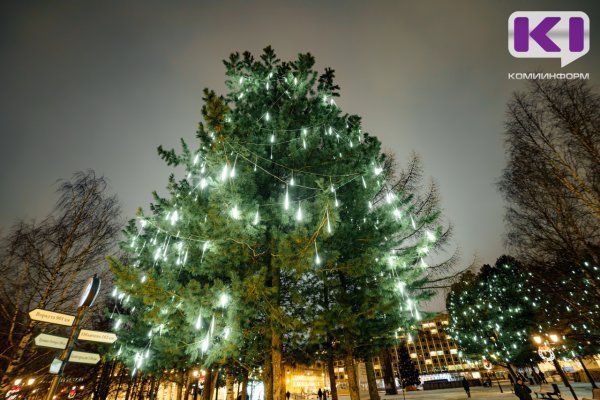 28% сыктывкарцев обожают Новый год 

