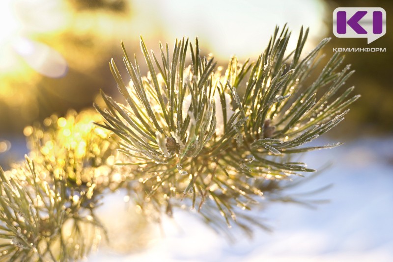 В Сыктывкаре объявлен актированный день 