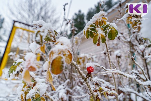 В некоторых районах Коми продолжаются актированные дни 