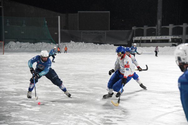 Хоккейная команда 