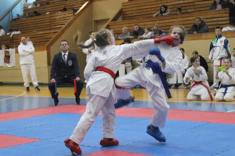 В Сыктывкаре пройдут республиканские соревнования по каратэ