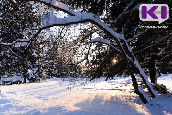 Погода в Коми 13 декабря: небольшой снег, -10...-12°С