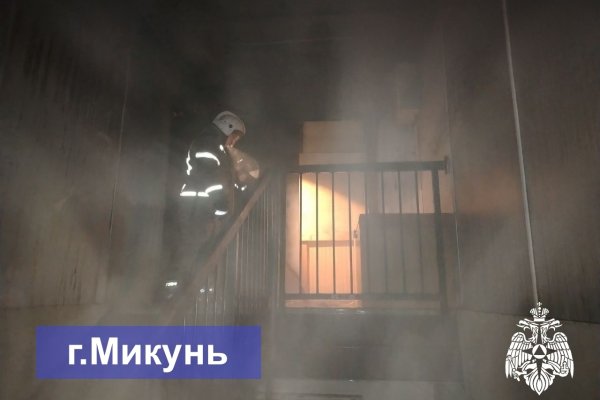 В Микуне на пожаре погиб человек