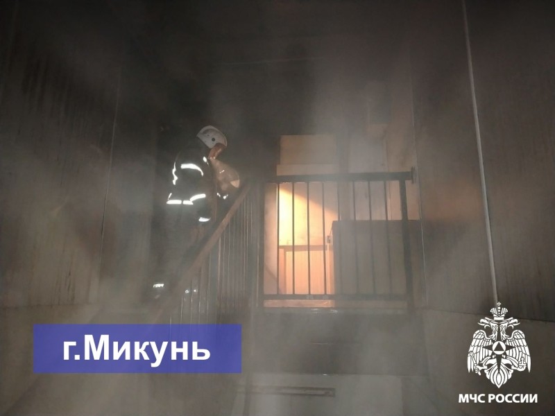 В Микуне на пожаре погиб человек