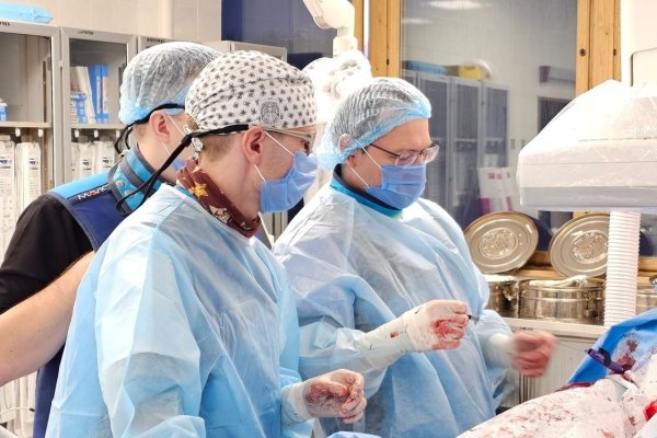 Эндопротезирование брюшной аорты теперь доступно жителям Коми