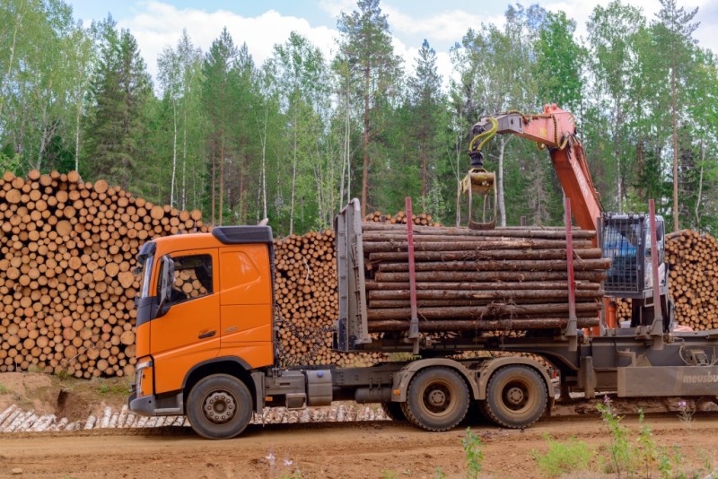 Сыктывкарский ЛПК успешно прошел аудит цепочки поставок