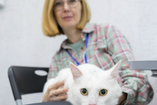 После фестиваля 